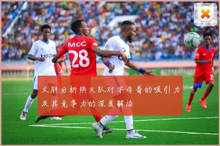 文胖分析热火队对字母哥的吸引力及其竞争力的深度解读