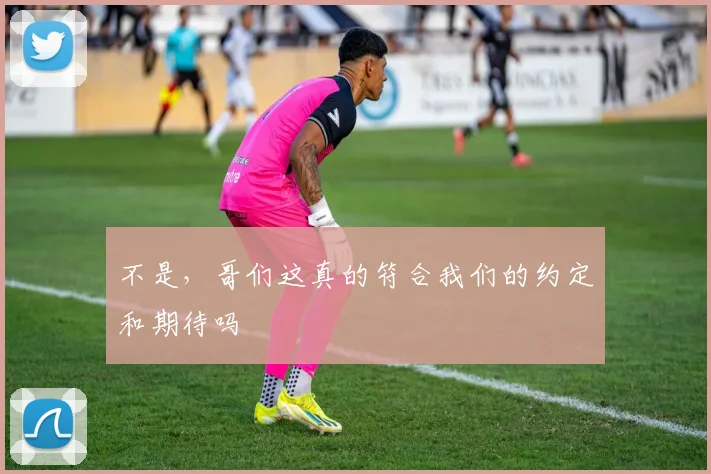 不是，哥们这真的符合我们的约定和期待吗