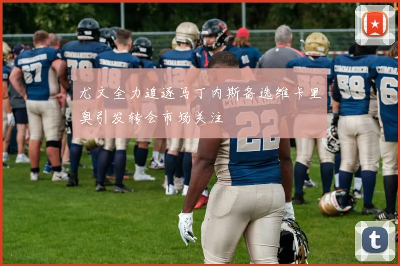 尤文全力追逐马丁内斯备选维卡里奥引发转会市场关注